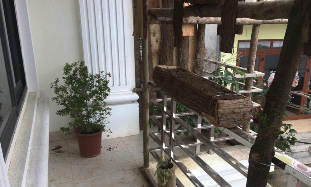 Sapa Peace Valley Hotel المظهر الخارجي الصورة